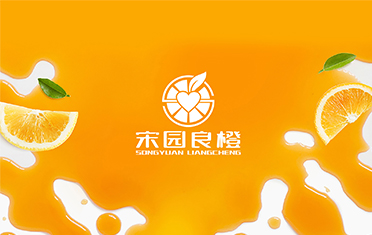 某良橙——宝鸡LOGO设计